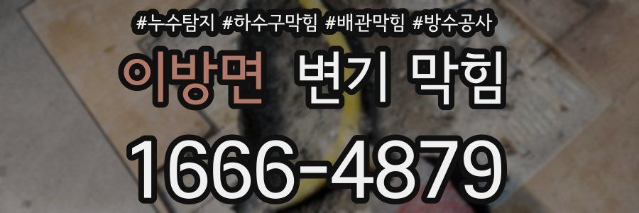 이방면 변기 막힘
