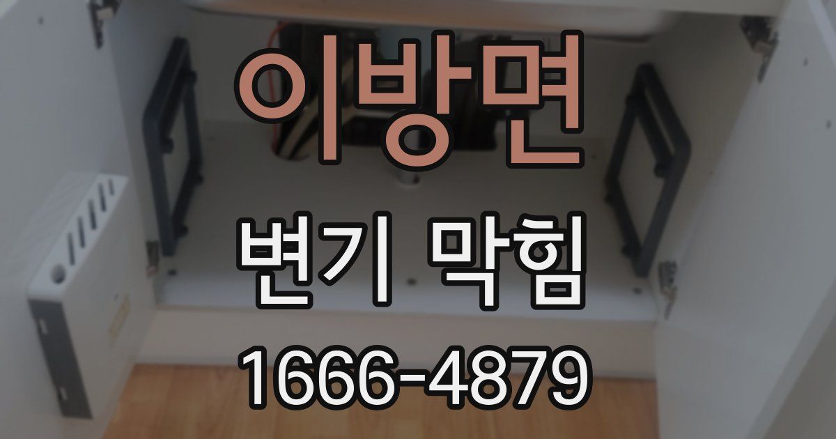 이방면 변기 막힘