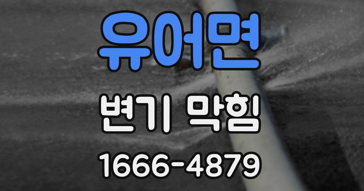 유어면 변기 막힘
