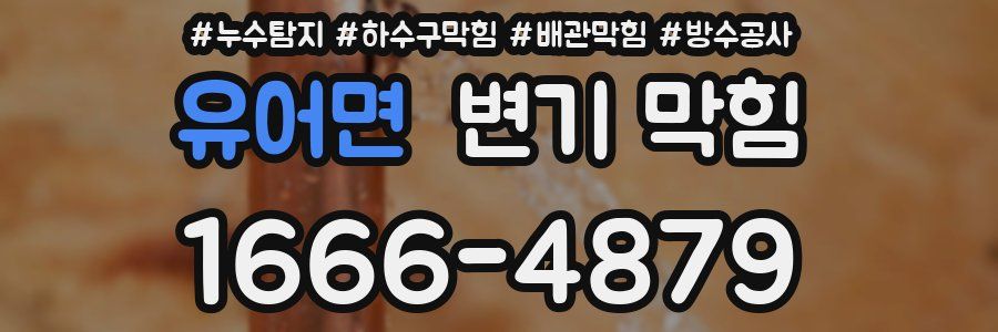 유어면 변기 막힘