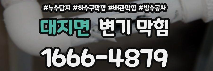 대지면 변기 막힘