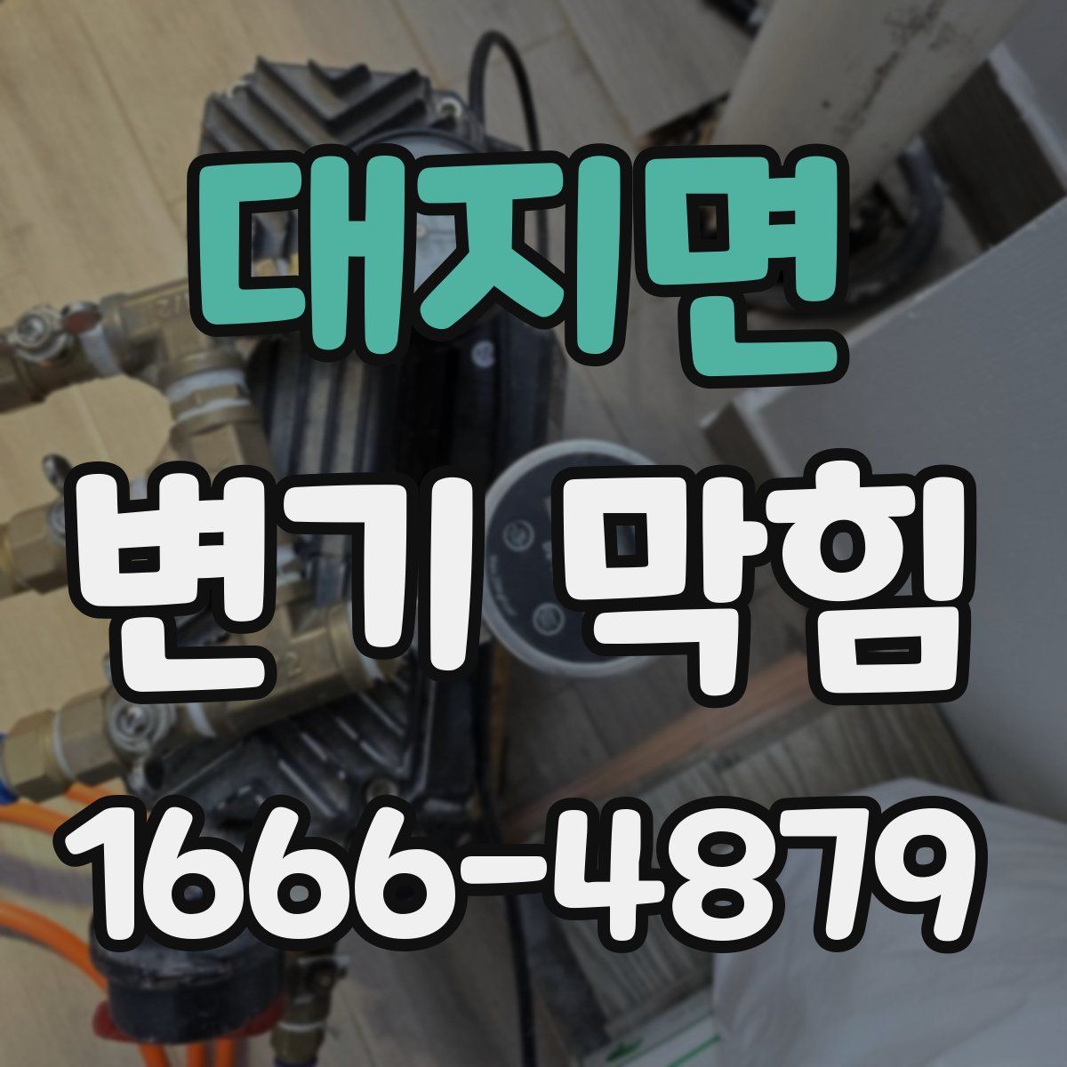 대지면 변기 막힘