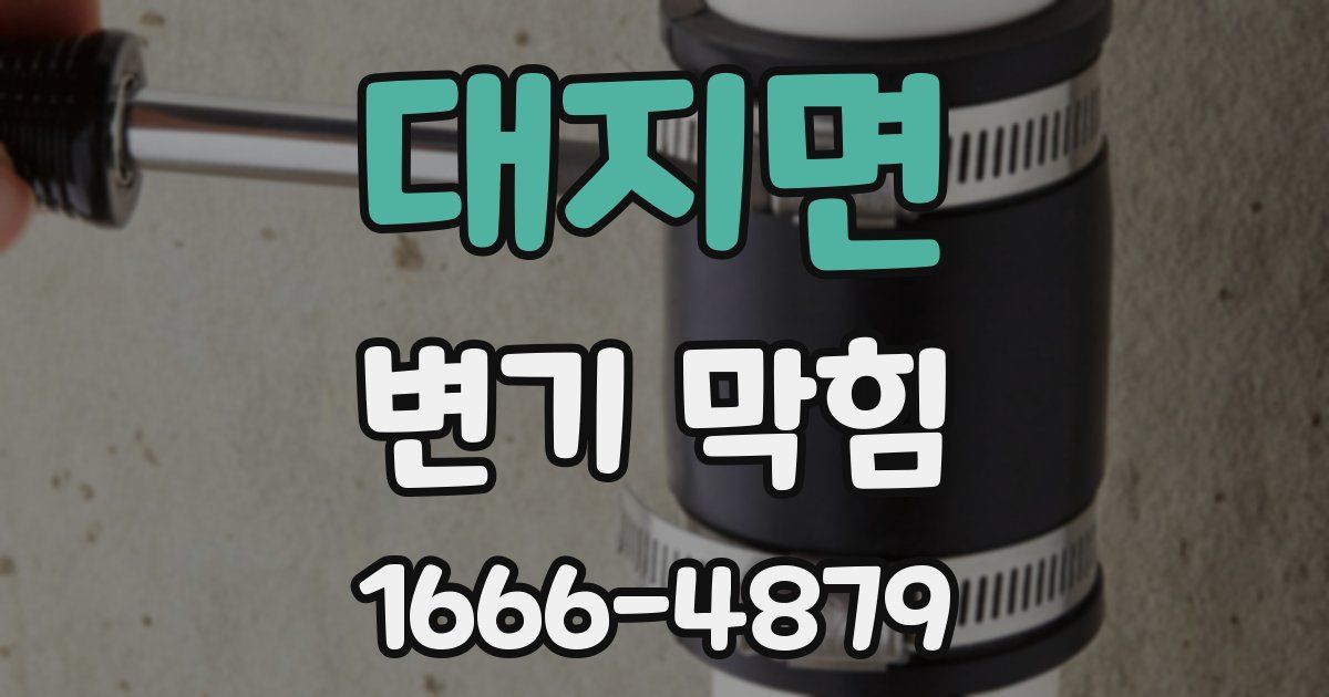 대지면 변기 막힘
