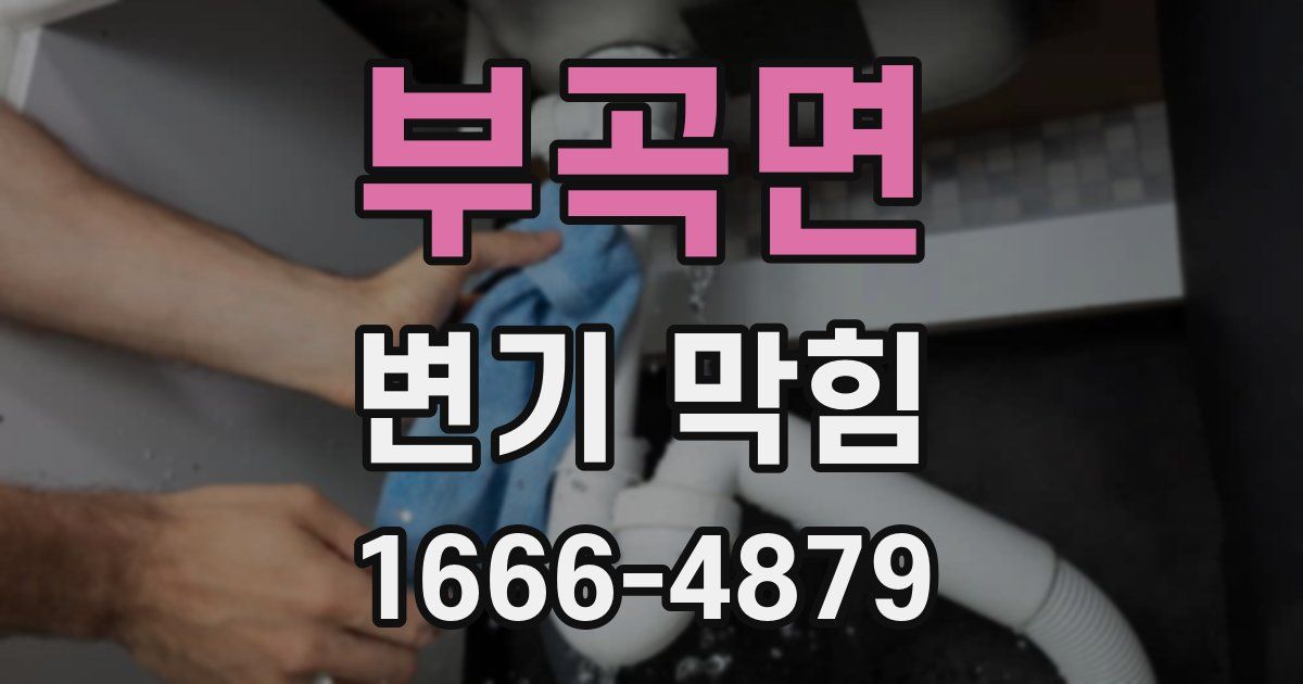 부곡면 변기 막힘