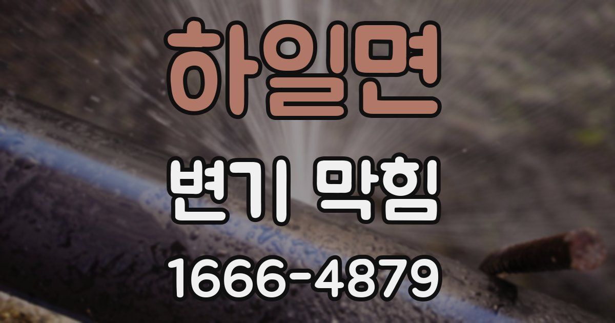 하일면 변기 막힘