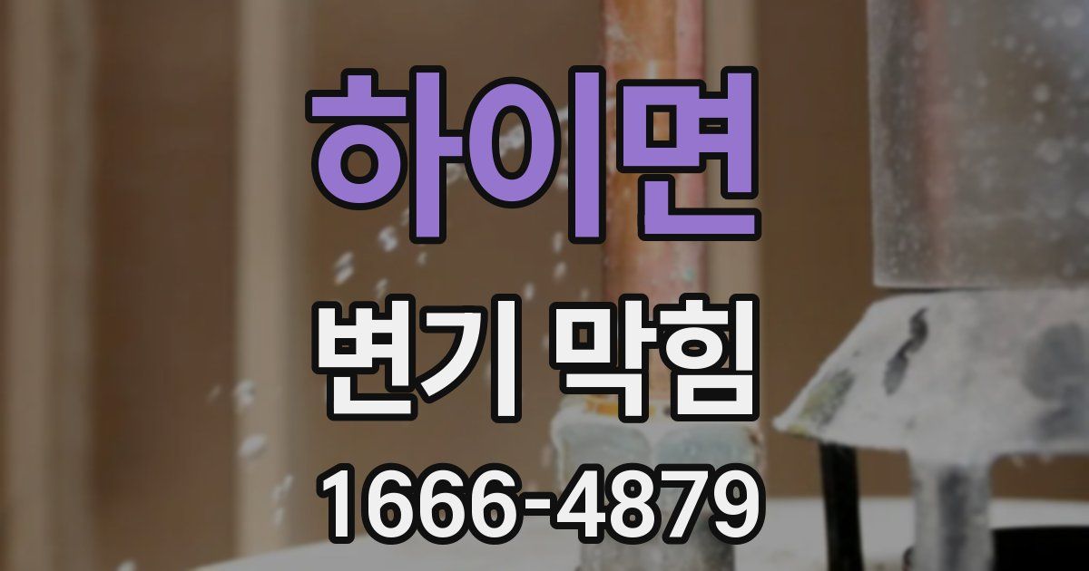 하이면 변기 막힘