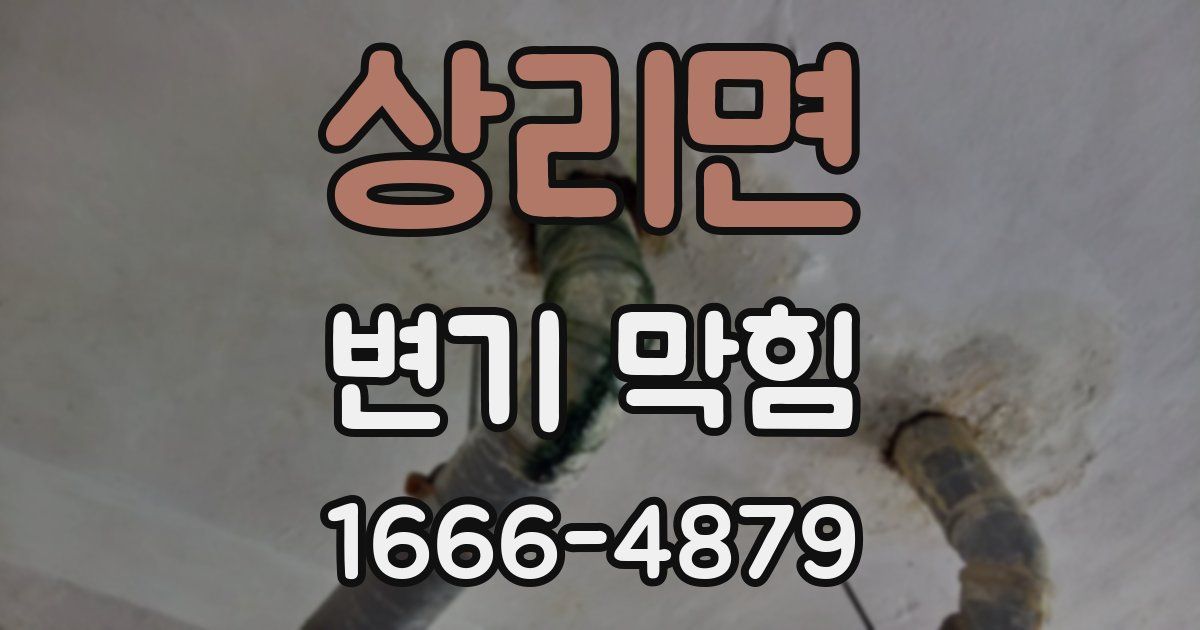 상리면 변기 막힘
