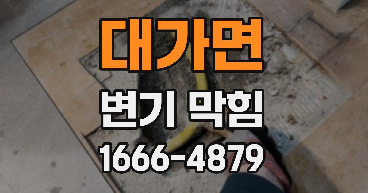 대가면 변기 막힘