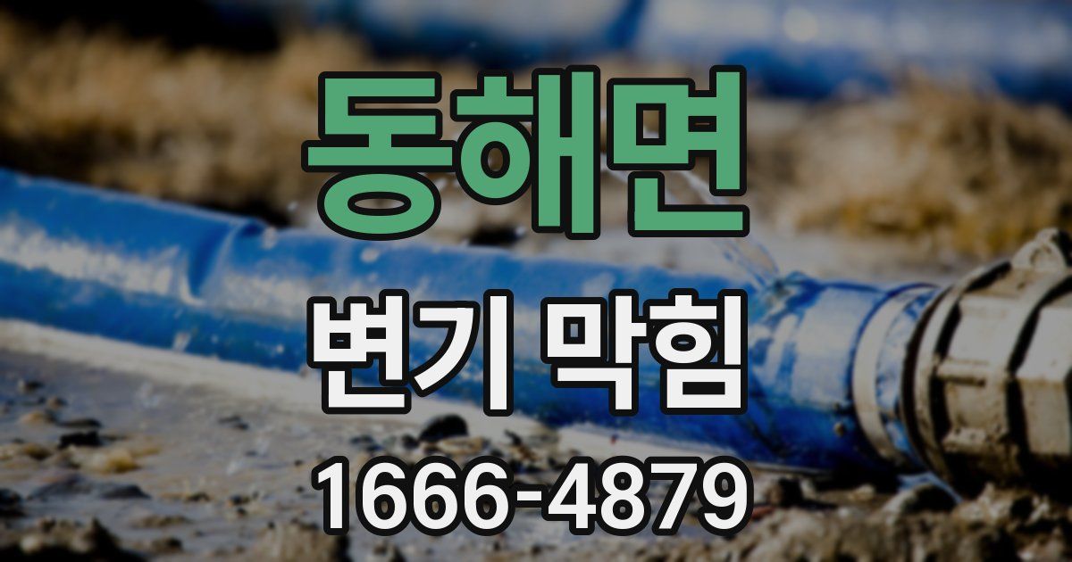 동해면 변기 막힘