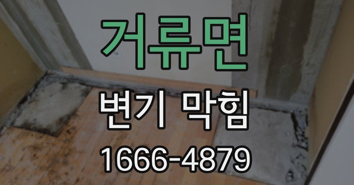 거류면 변기 막힘