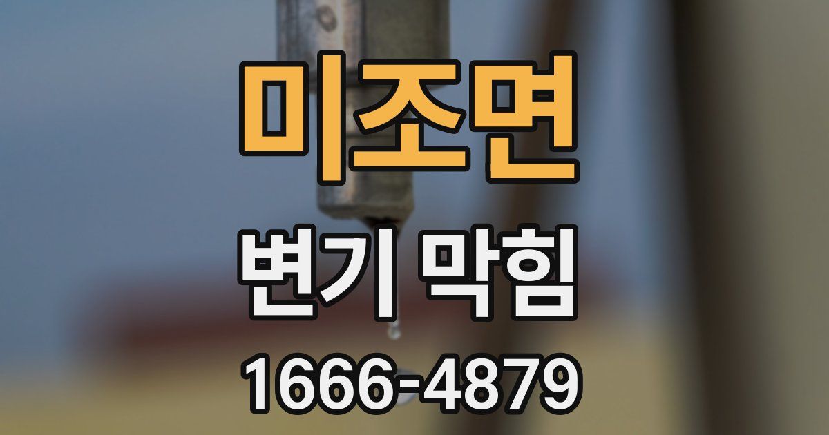 미조면 변기 막힘