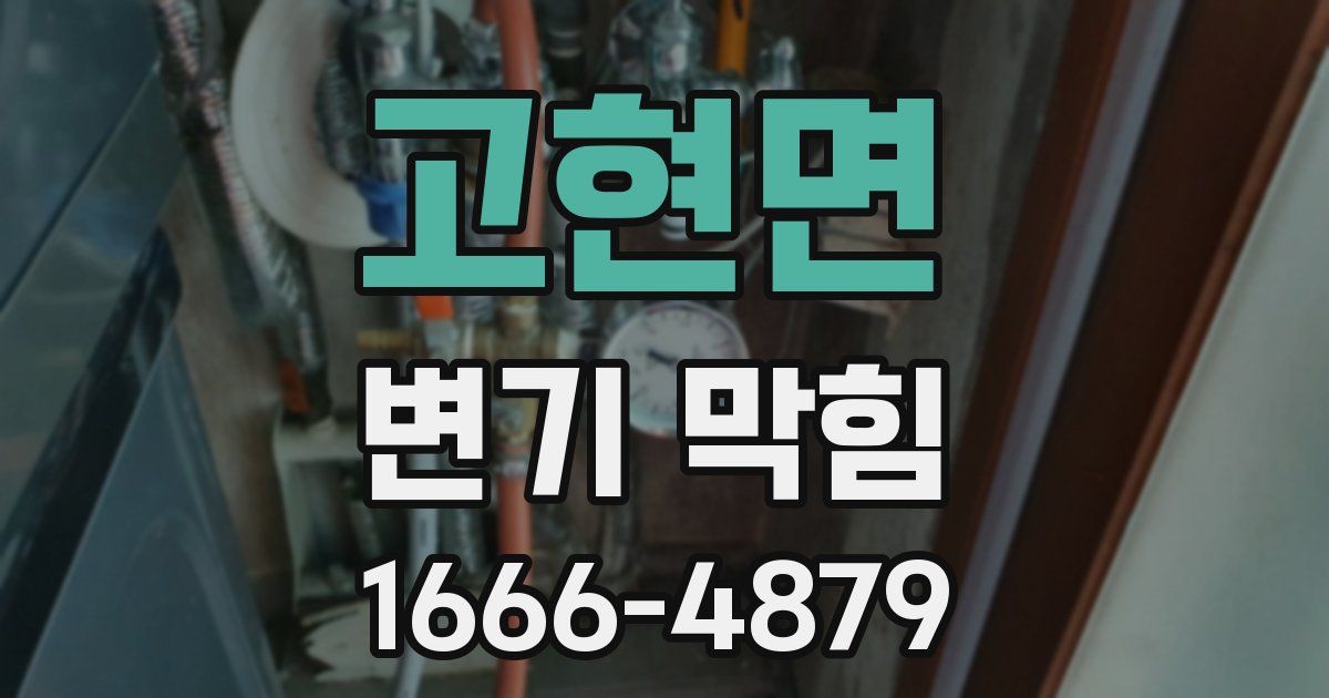 고현면 변기 막힘