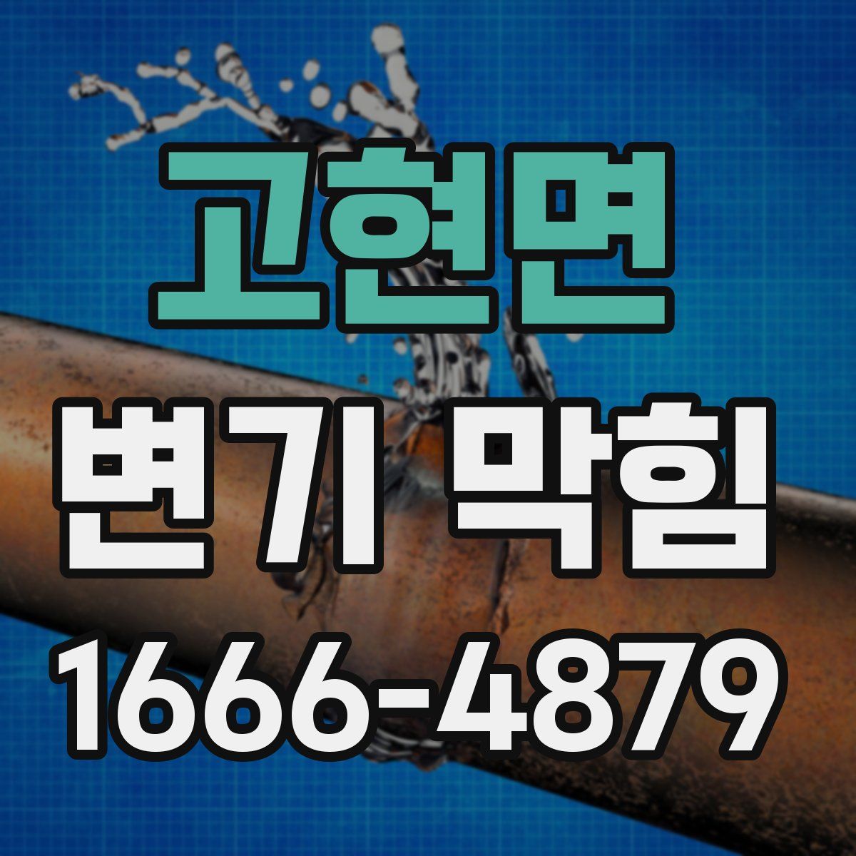 고현면 변기 막힘
