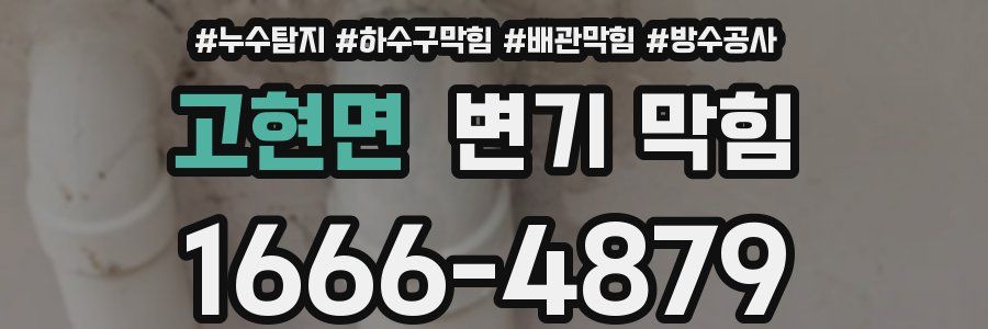 고현면 변기 막힘