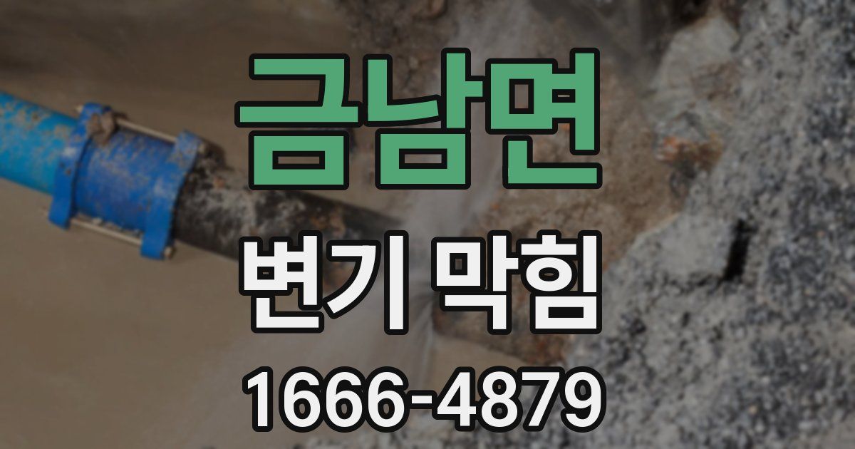 금남면 변기 막힘