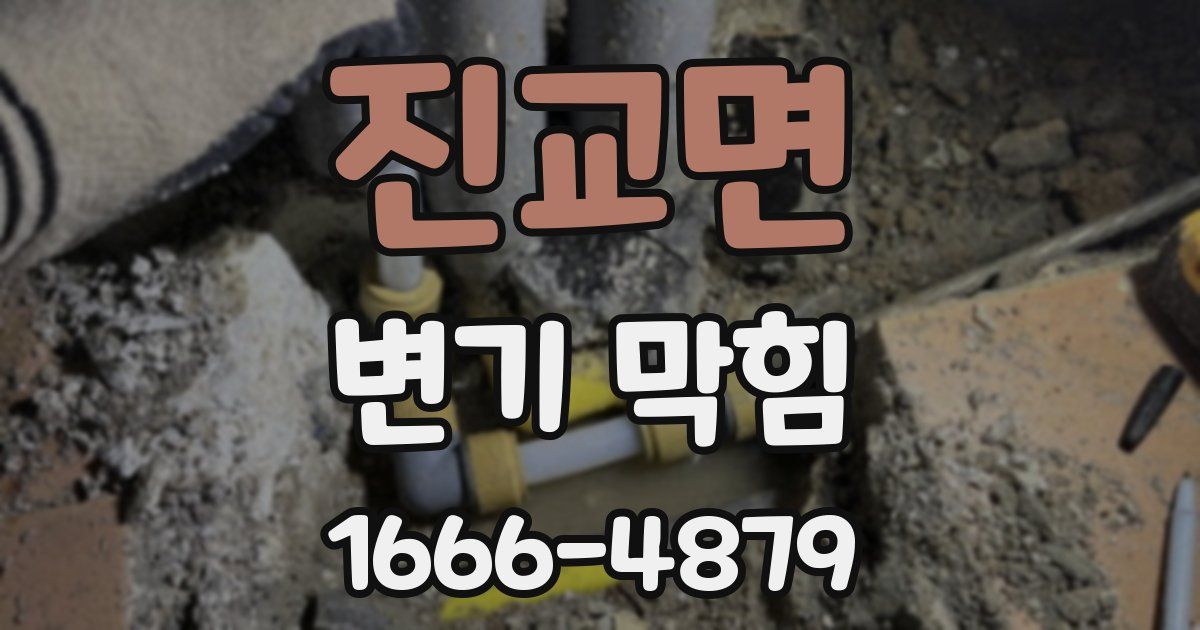 진교면 변기 막힘
