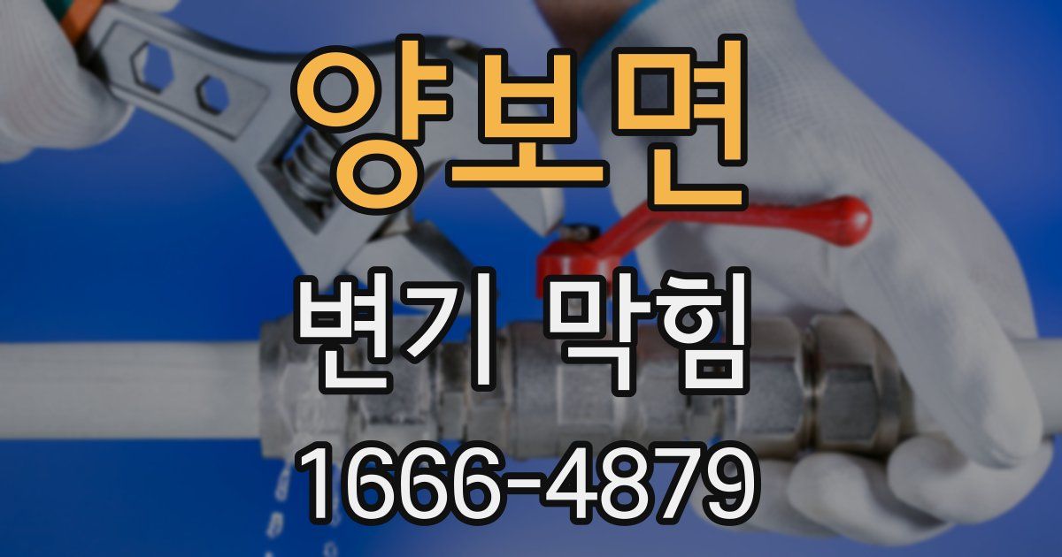 양보면 변기 막힘