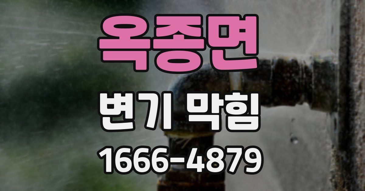 옥종면 변기 막힘