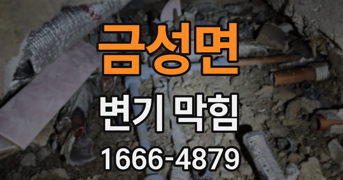 금성면 변기 막힘