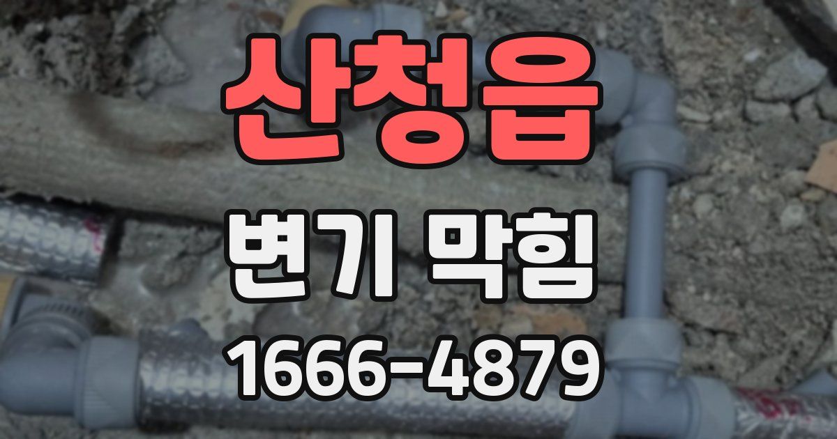 산청읍 변기 막힘