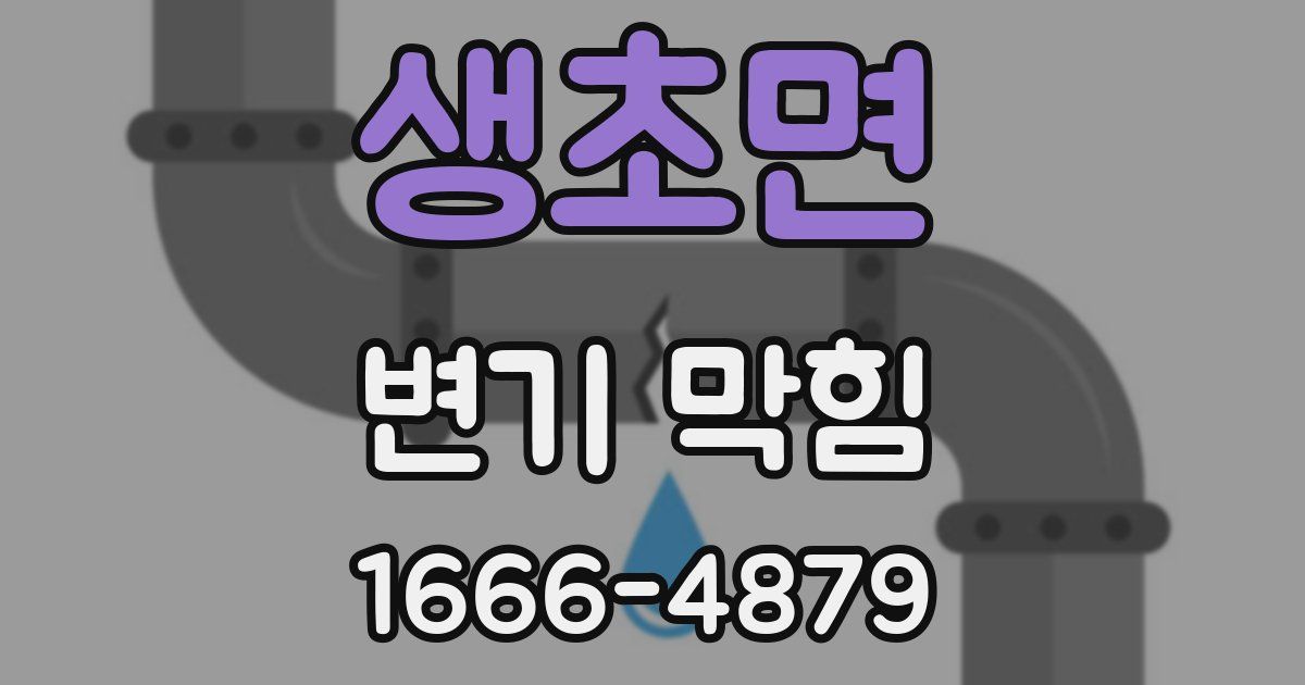 생초면 변기 막힘