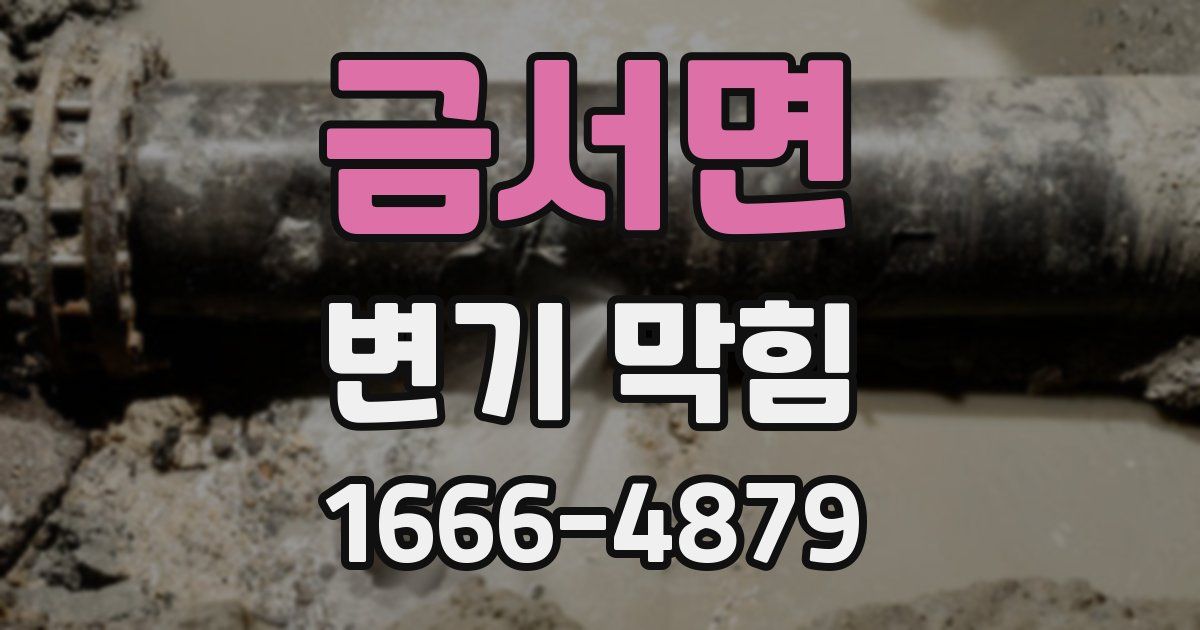 금서면 변기 막힘