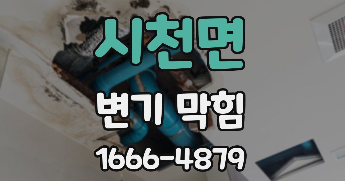 시천면 변기 막힘