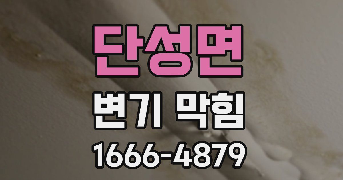 단성면 변기 막힘