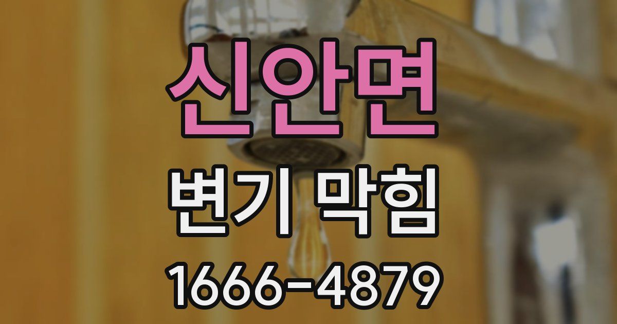 신안면 변기 막힘