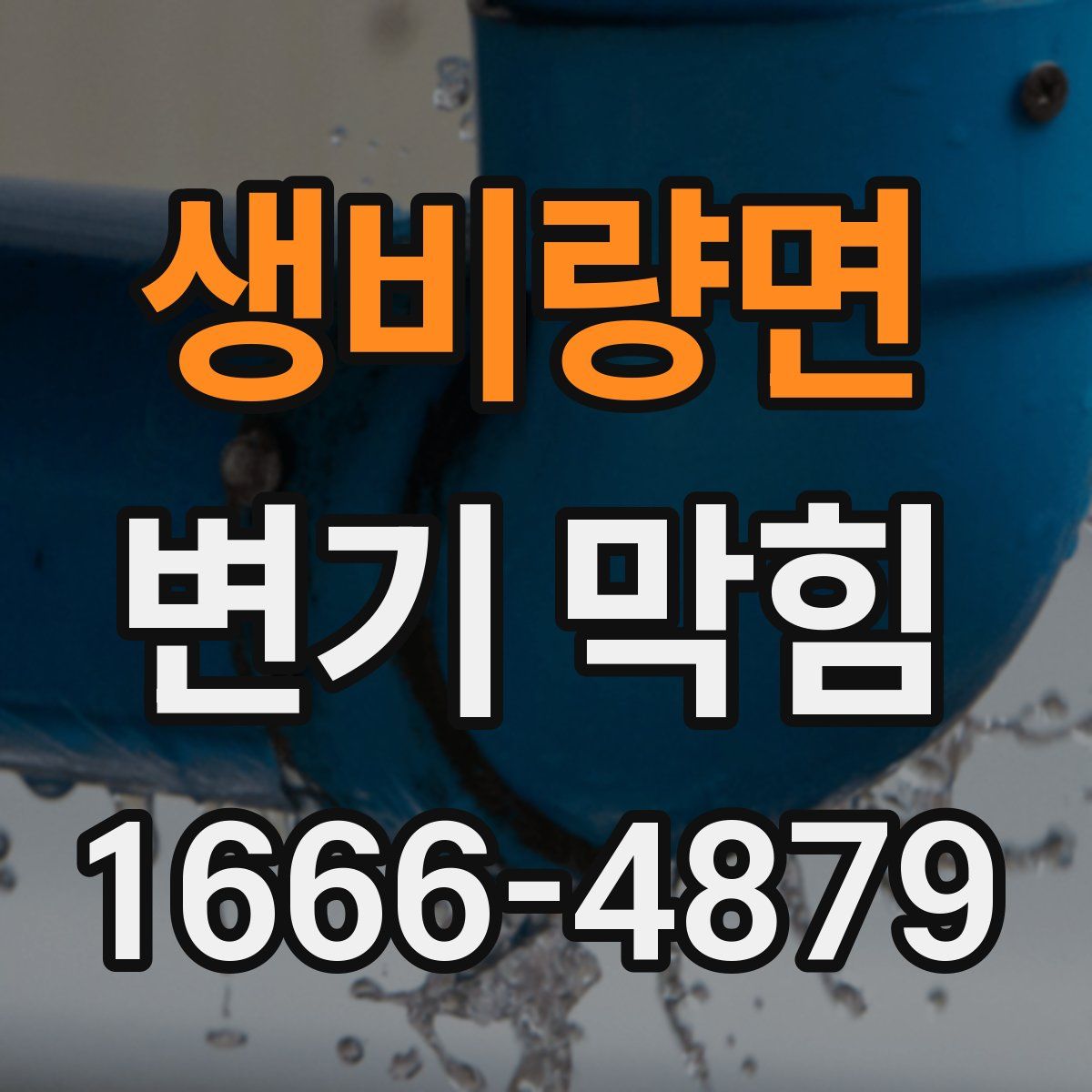 생비량면 변기 막힘