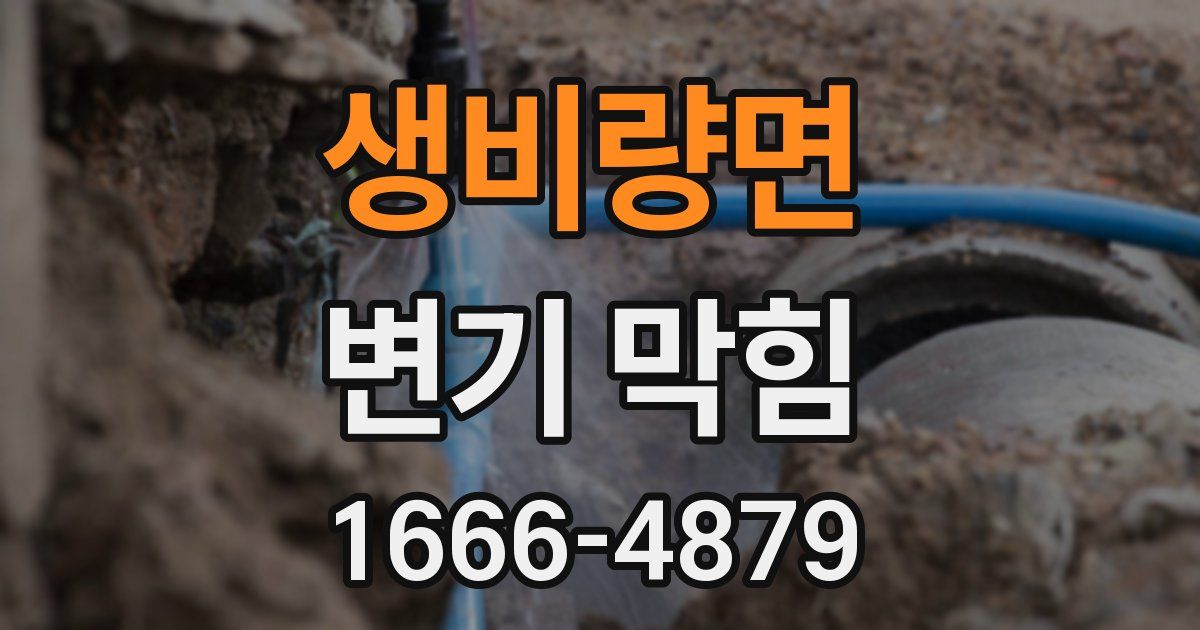생비량면 변기 막힘