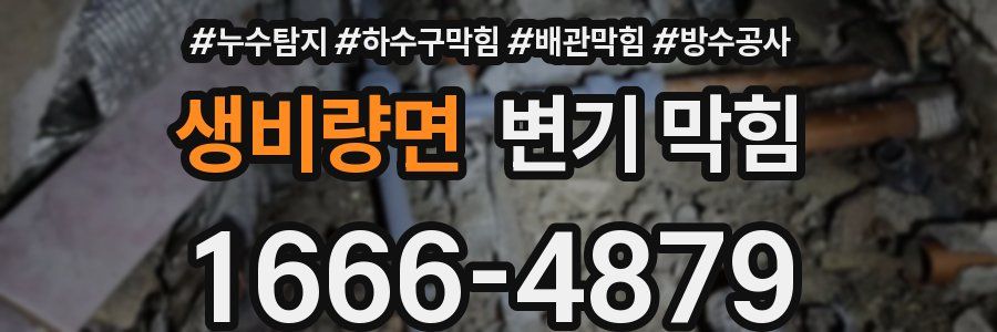 생비량면 변기 막힘