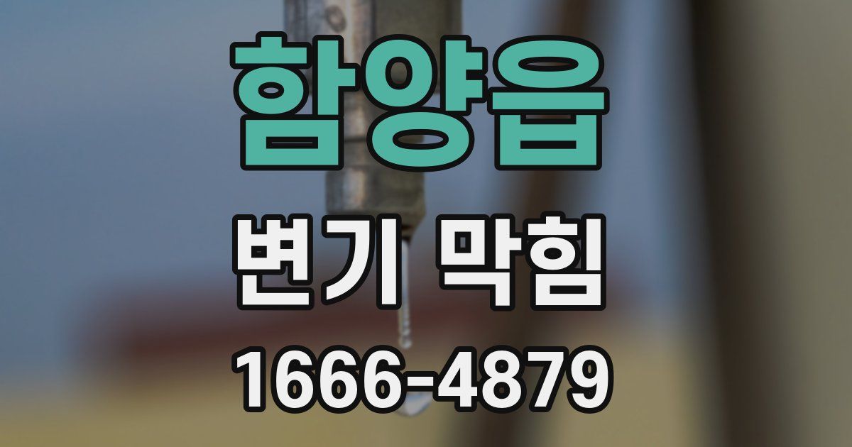 함양읍 변기 막힘