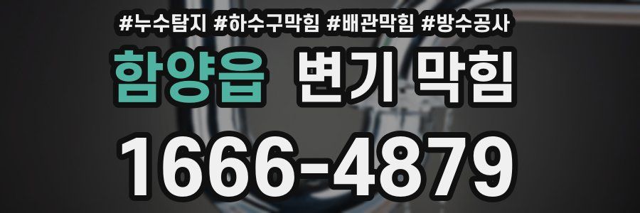함양읍 변기 막힘