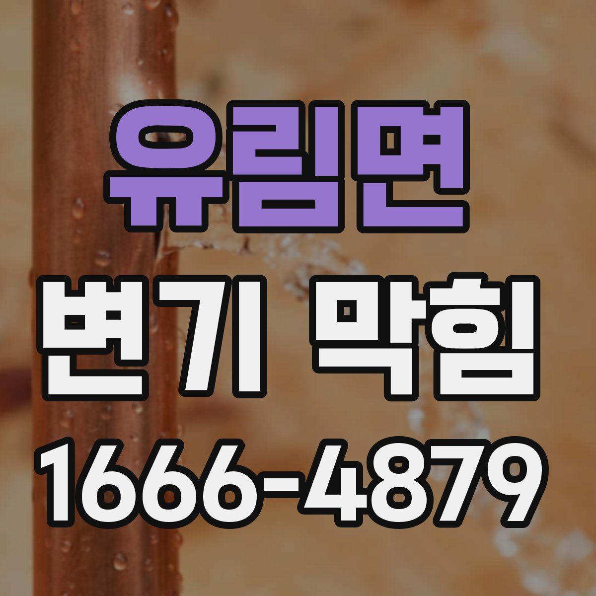 유림면 변기 막힘