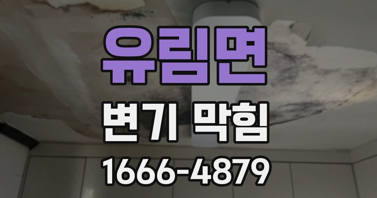 유림면 변기 막힘