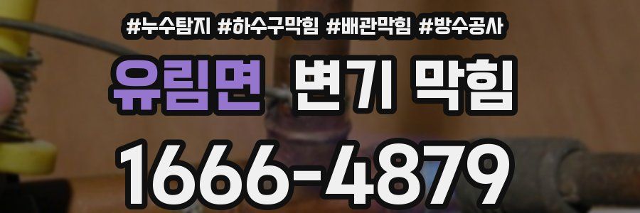 유림면 변기 막힘