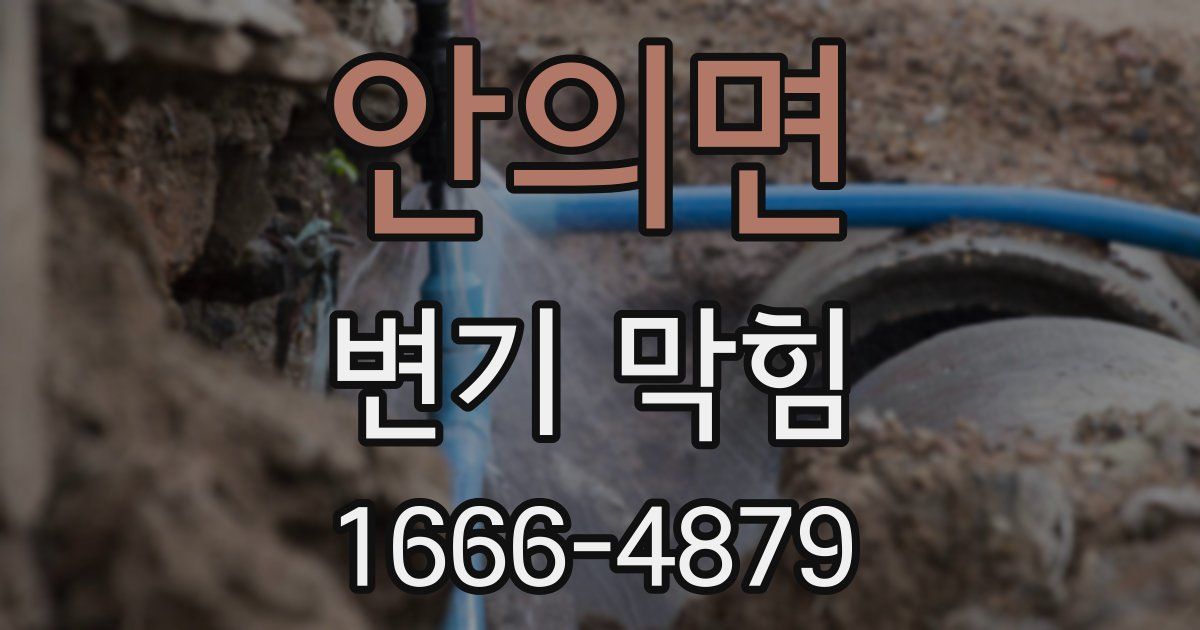 안의면 변기 막힘