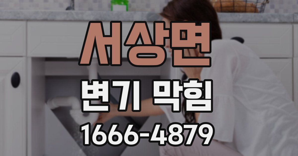 서상면 변기 막힘