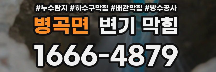 병곡면 변기 막힘