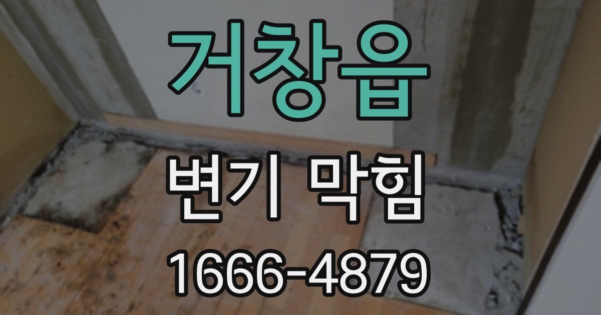 거창읍 변기 막힘