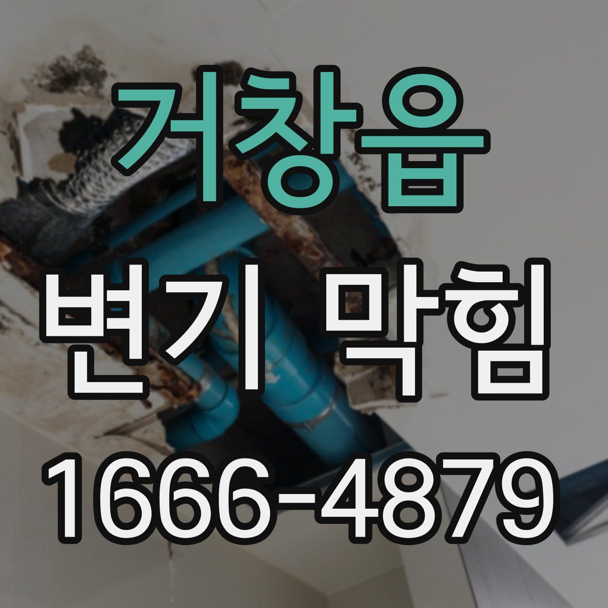 거창읍 변기 막힘
