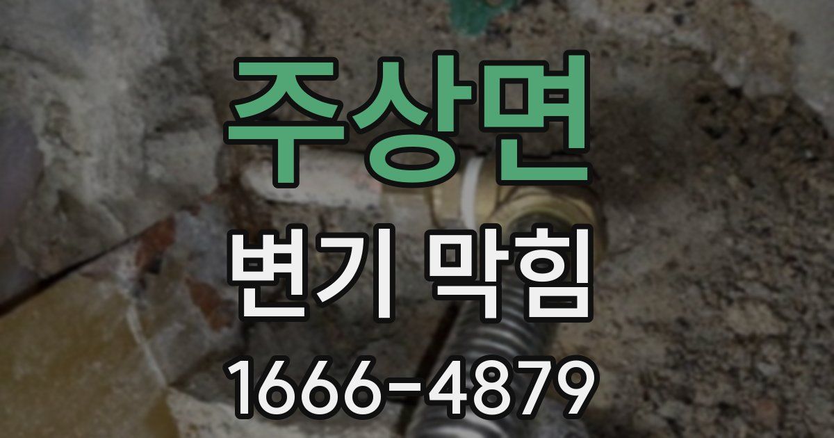 주상면 변기 막힘