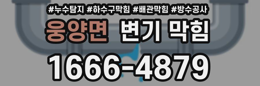 웅양면 변기 막힘