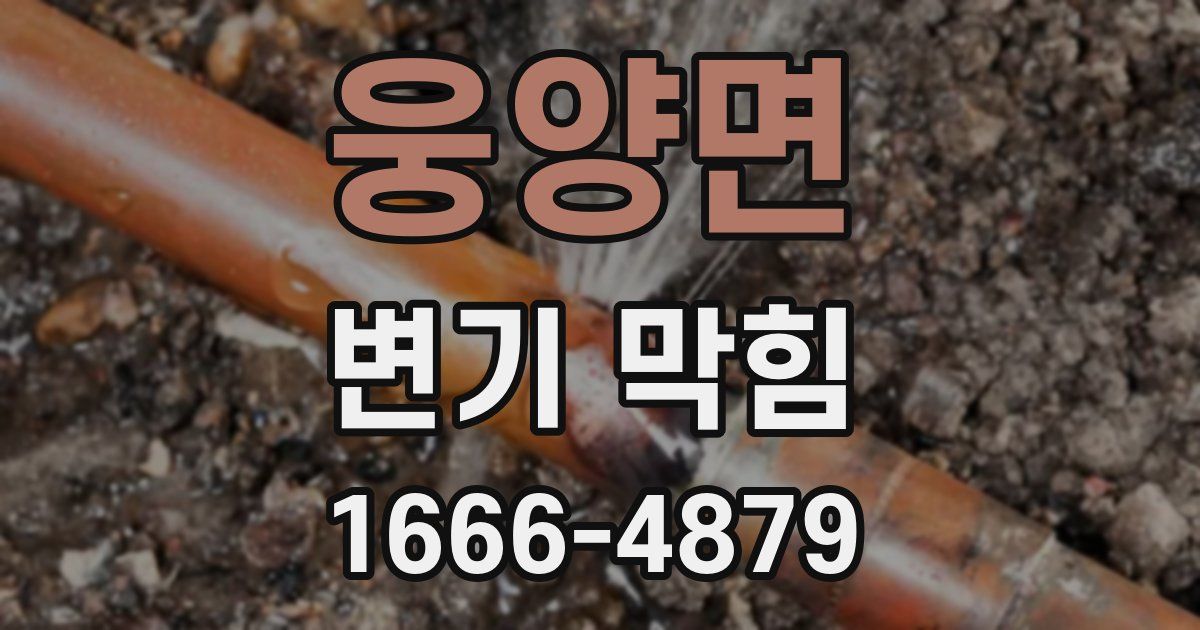 웅양면 변기 막힘