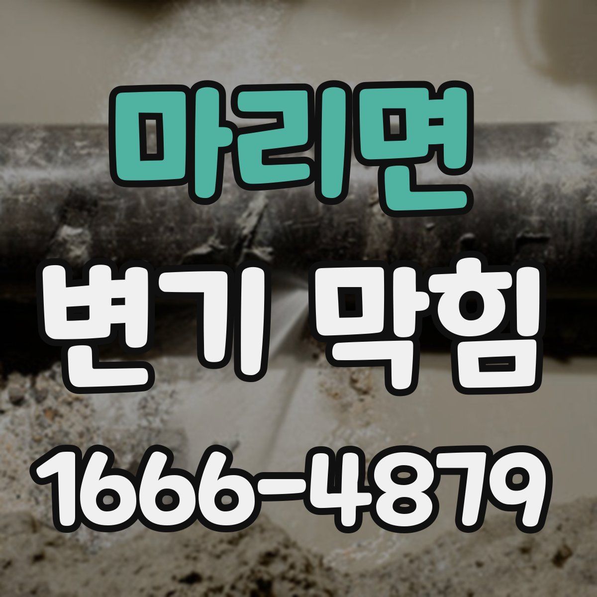 마리면 변기 막힘