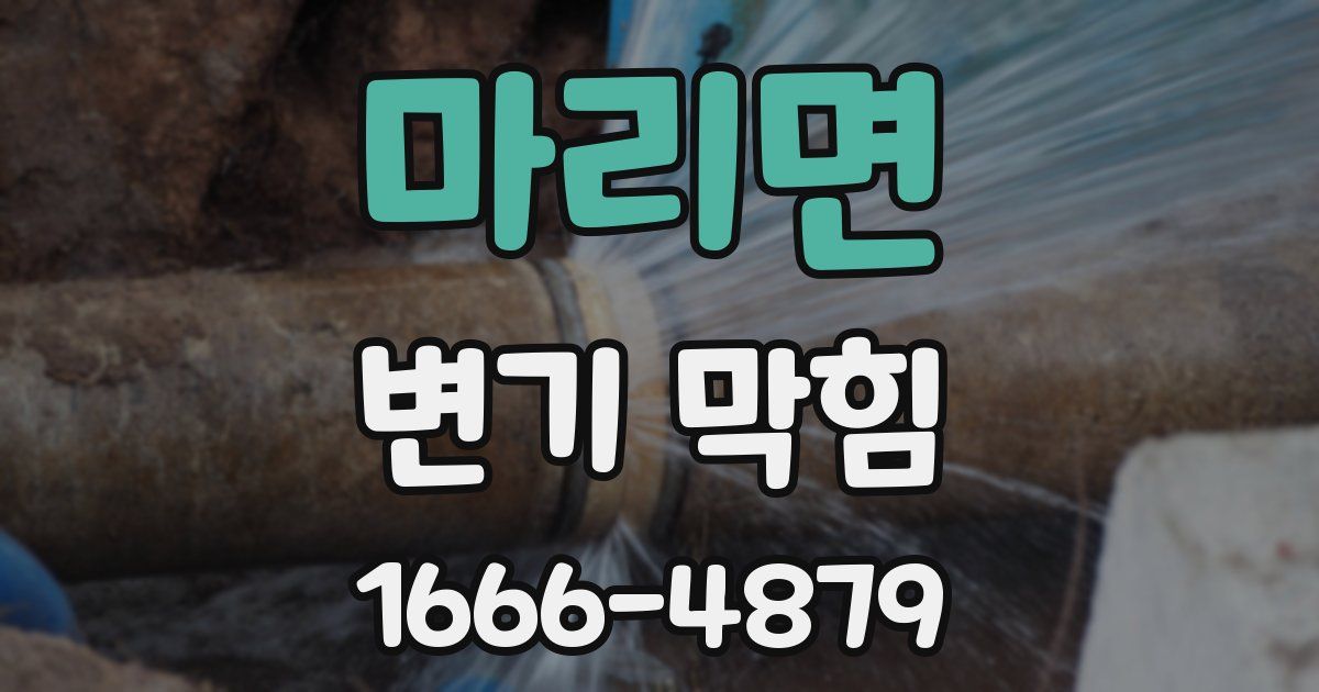 마리면 변기 막힘