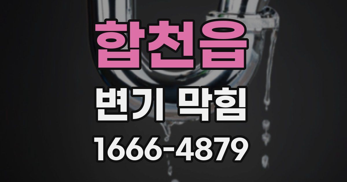 합천읍 변기 막힘