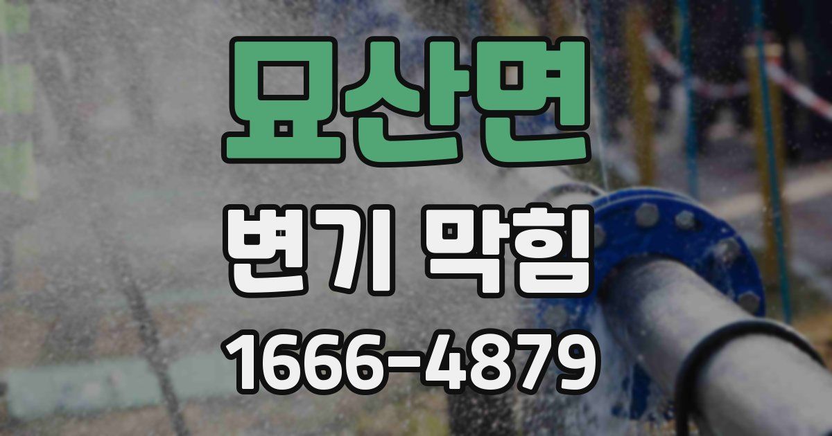 묘산면 변기 막힘