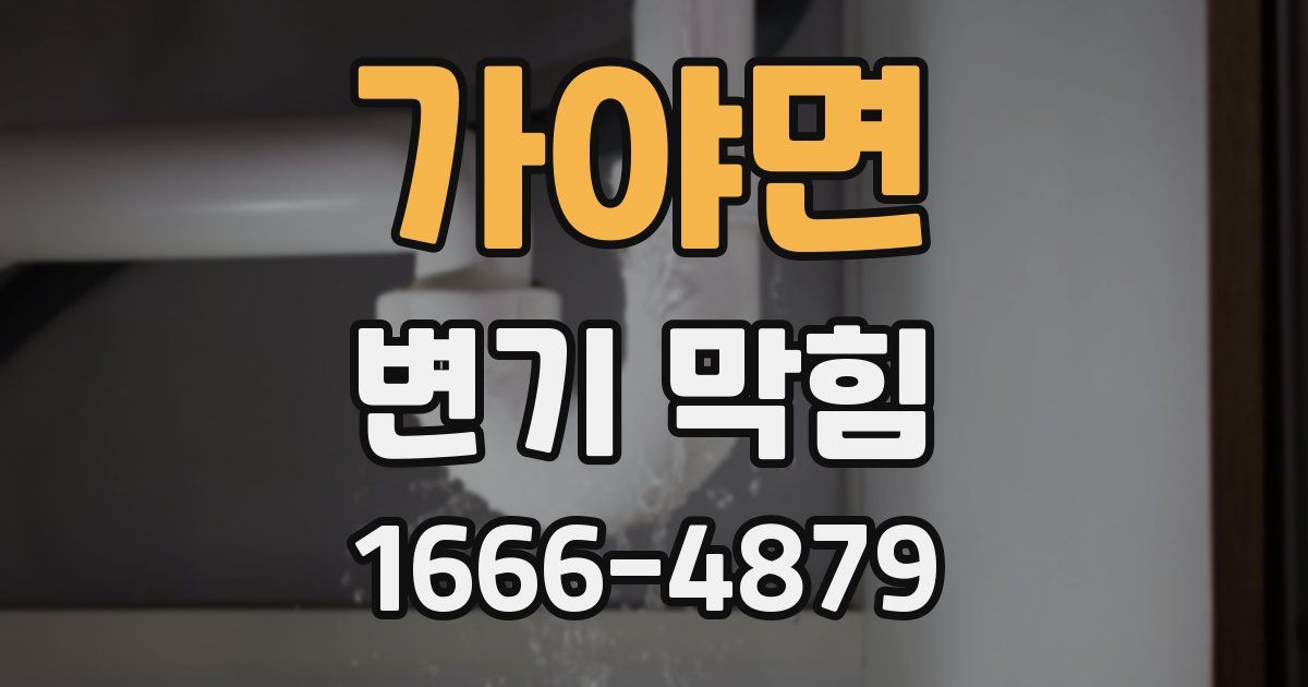 가야면 변기 막힘